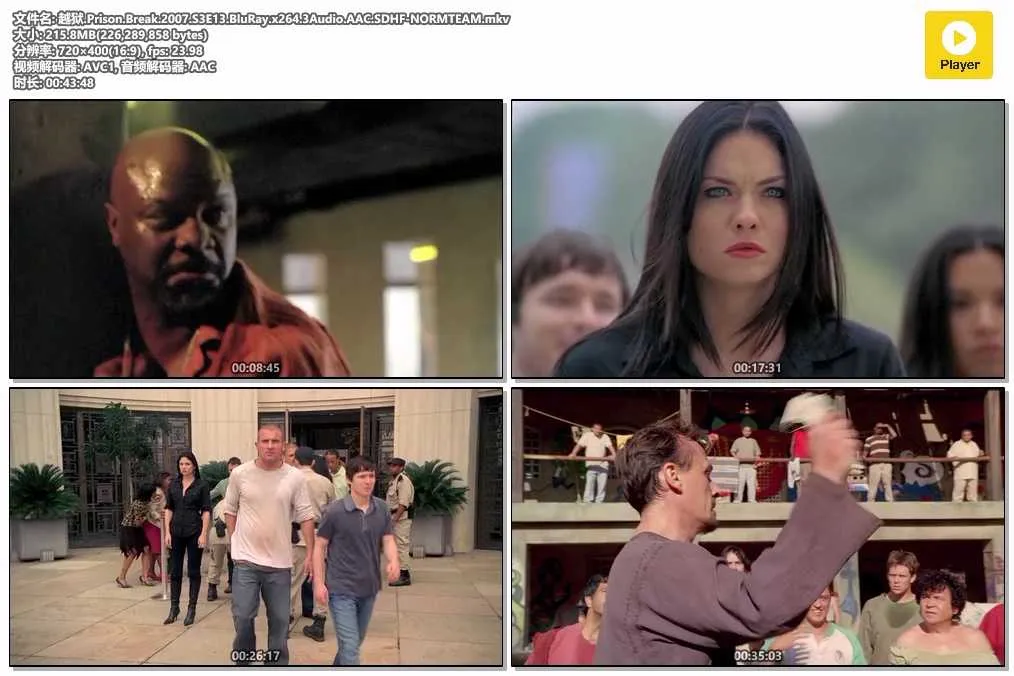 插图:《越狱》第三季 (Prison Break Season 3) (2007) [全13集] 粤国英三语 标清 [百度网盘]，编号:456