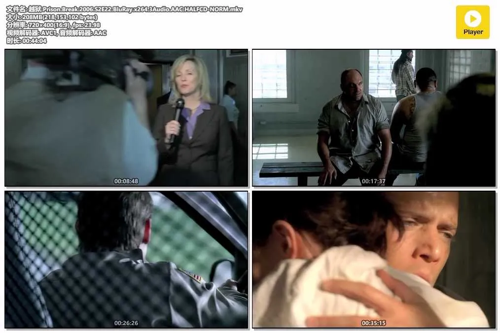 插图:《越狱》第二季 (Prison Break Season 2) (2006) [全22集] 粤国英三语 标清 [百度网盘]，编号:746