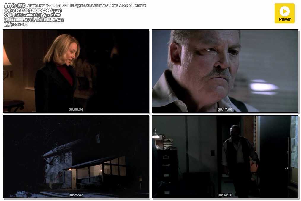 插图:《越狱》第一季 (Prison Break Season 1) (2005) [全22集] 粤国英三语 标清 [百度网盘]，编号:417