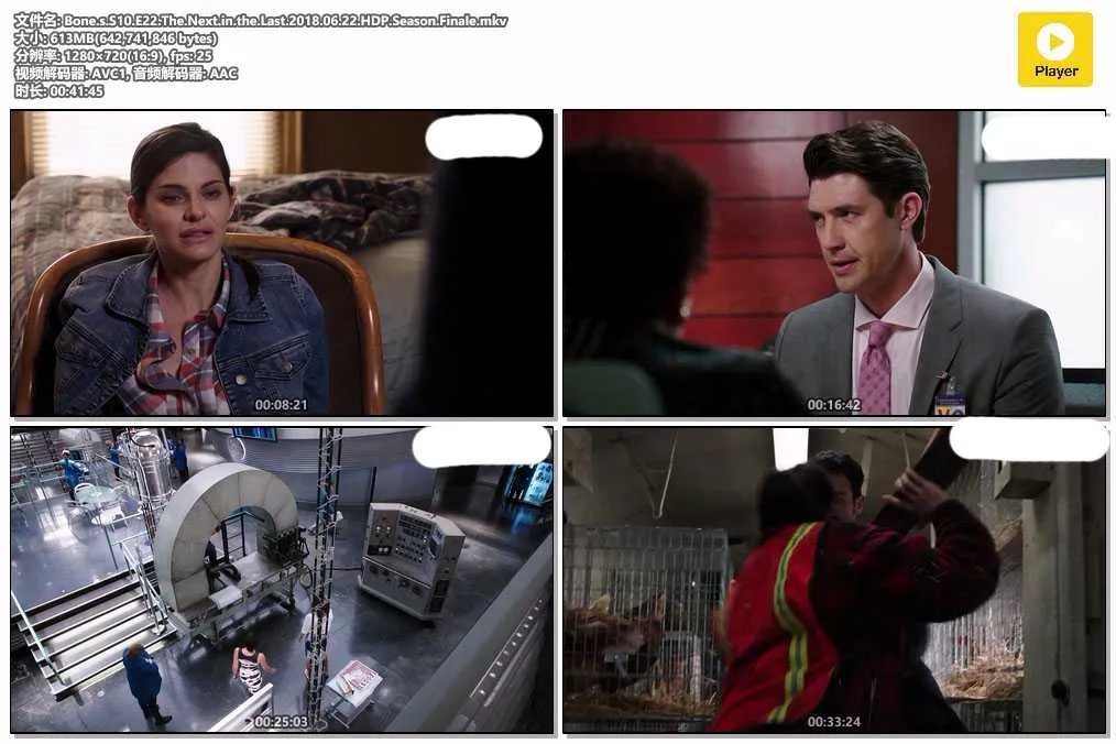 插图:《欲骨查》第十季 (Bones Season 10) (2014) [全22集] 粤英双语 720P [百度网盘]，编号:972