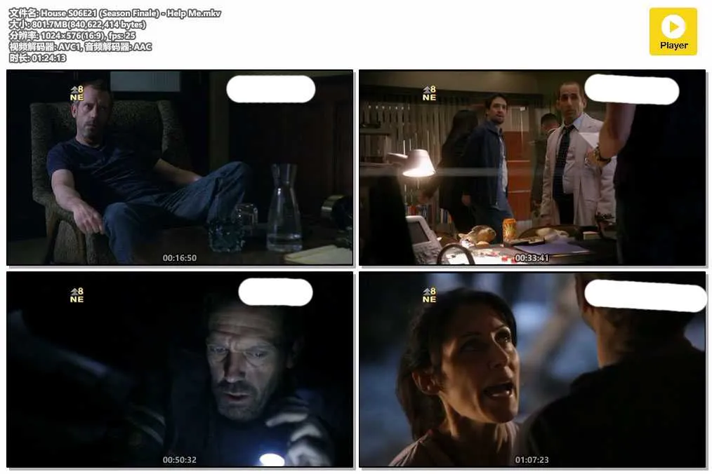 插图:《医神》第六季 (House M.D. Season 6) (2009) [全21集] 粤英双语 576P [百度网盘]，编号:966