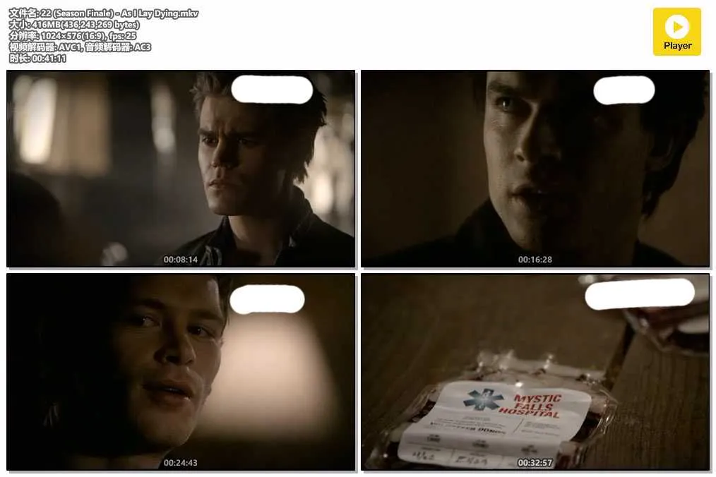 插图:《吸血新世代》第二季 (The Vampire Diaries Season 2) (2010) [全22集] 粤英双语 576P [百度网盘]，编号:81