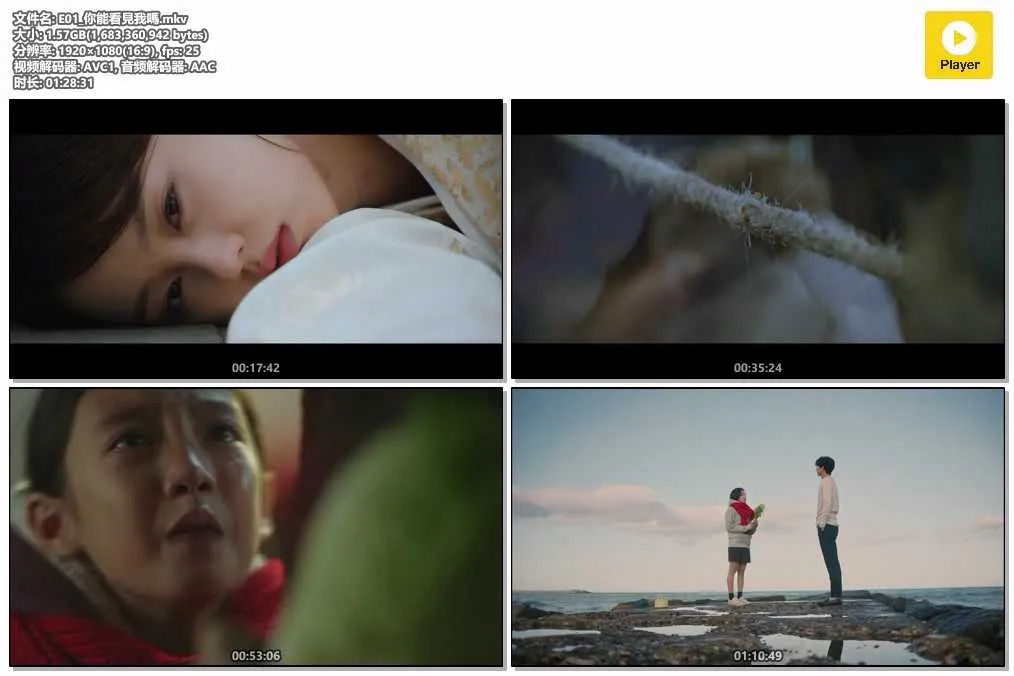 插图:《孤单又灿烂的神-鬼怪》 (Guardian: The Lonely and Great God) (2016) [全16集] 粤语 1080P [百度网盘]，编号:921