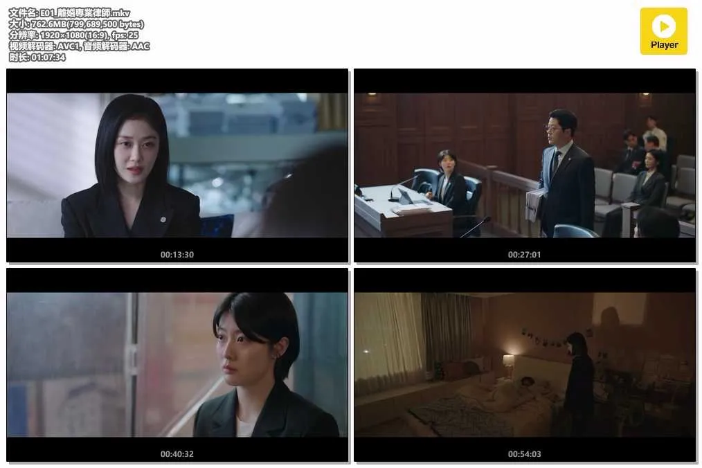 插图:《好搭档》 (Good Partner) (2024) [全16集] 粤语 1080P [百度网盘]，编号:441