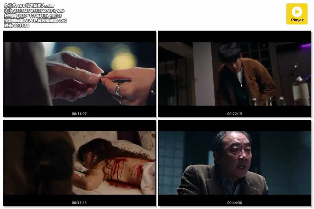 插图:《某一天》 (One Ordinary Day) (2021) [全8集] 粤语 1080P [百度网盘]，编号:6