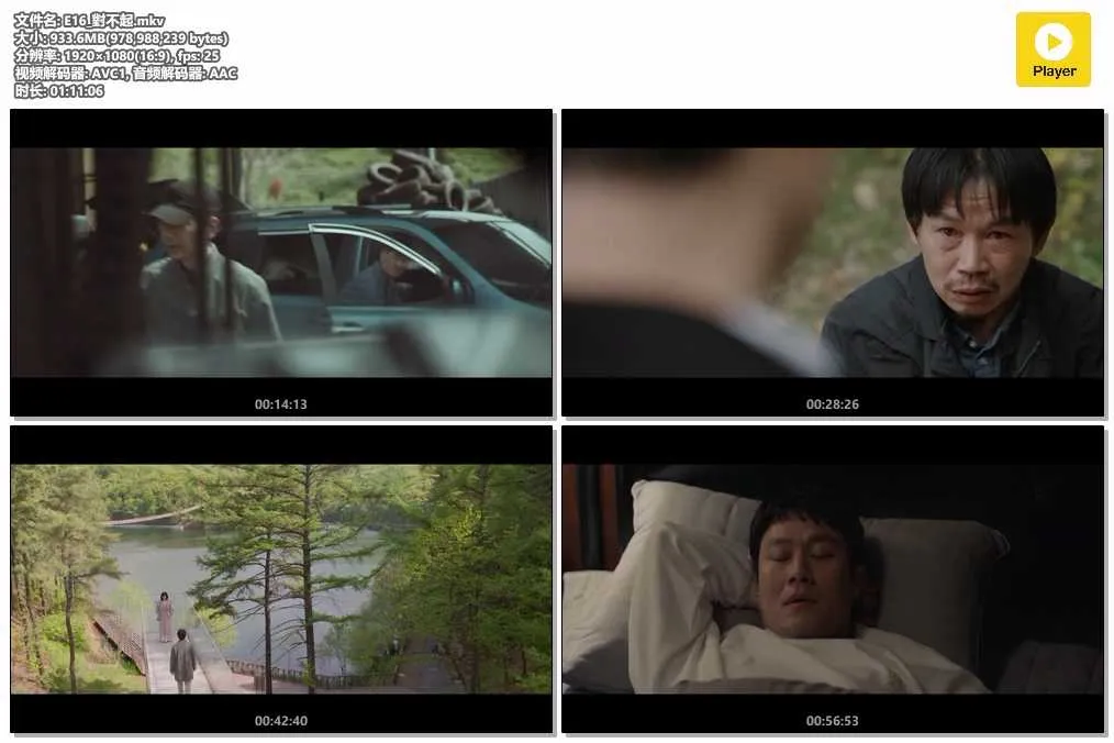 插图:《奇迹的兄弟》 (Miraculous Brothers) (2023) [全16集] 粤语 1080P [百度网盘]，编号:36