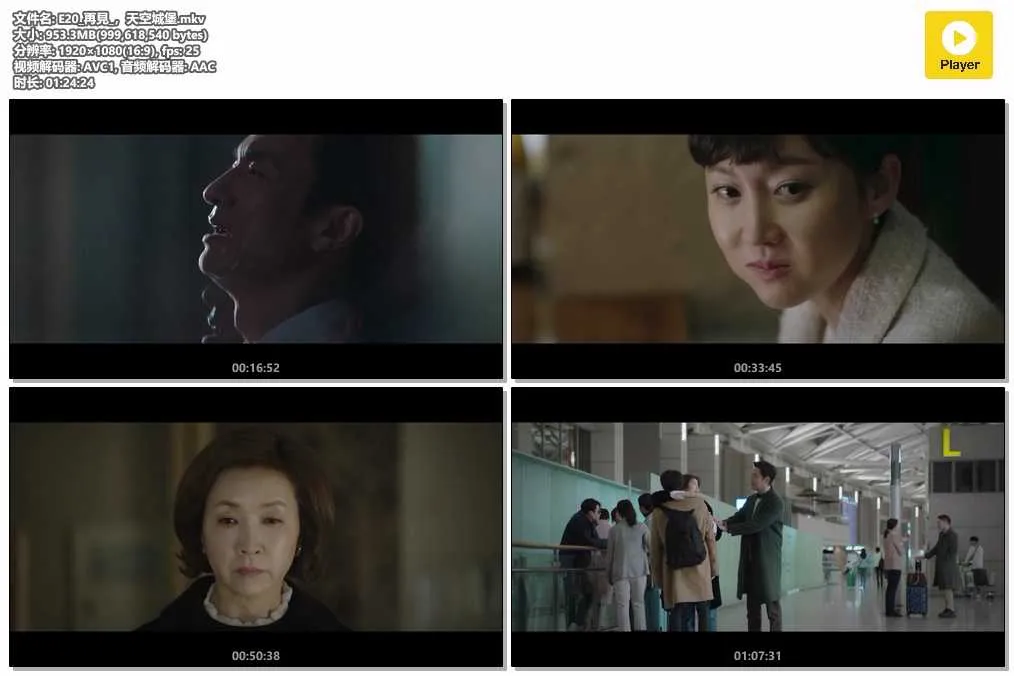 插图:《天空城堡》 (SKY Castle) (2018) [全20集] 粤语 1080P [百度网盘]，编号:806