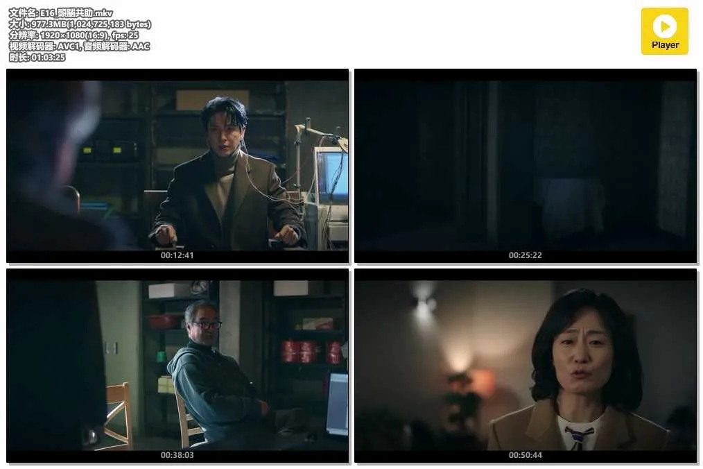 插图:《头脑共助》 (Brain Works) (2023) [全16集] 粤语 1080P [百度网盘]，编号:386