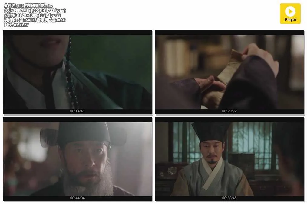 插图:《夜晚开的花》 (Knight Flower) (2024) [全12集] 粤语 1080P [百度网盘]，编号:183