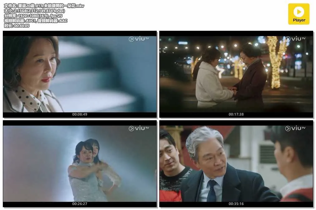 插图:《重返20岁》 (Miss Granny) (2024) [全17集] 粤韩双语 1080P [百度网盘]，编号:774