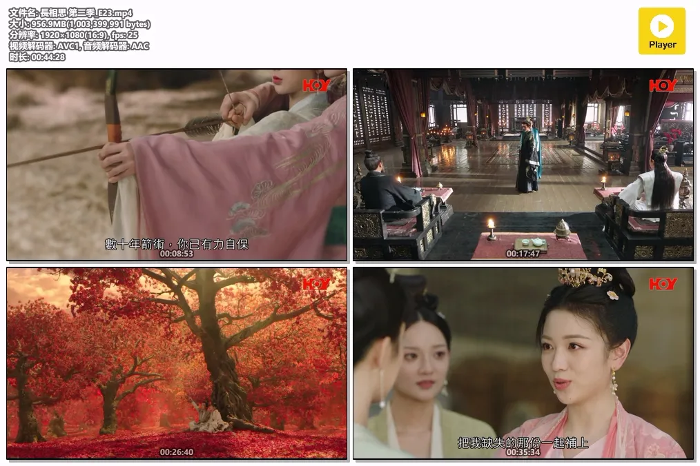 長相思 第二季_E23.mp4.webp