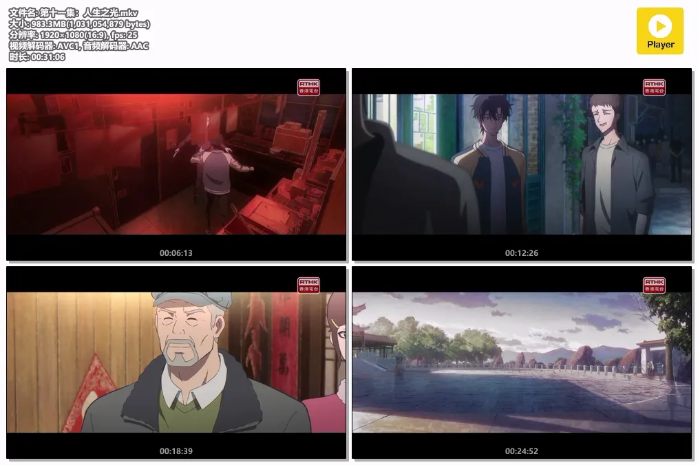 第十一集：人生之光.mkv.webp