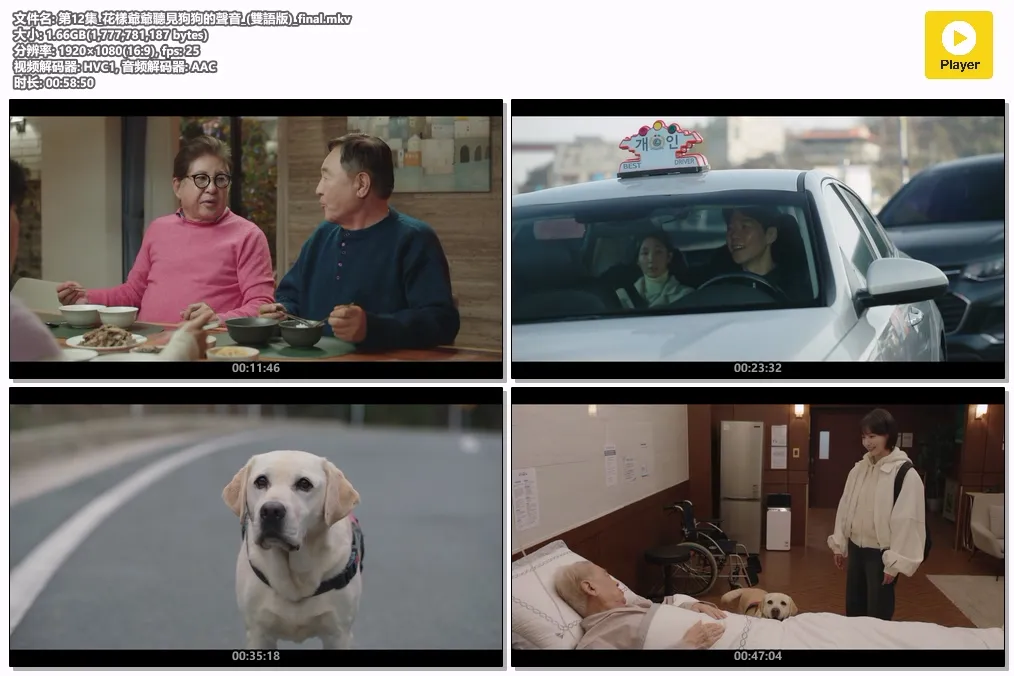 第12集_花樣爺爺聽見狗狗的聲音_(雙語版)_final.mkv.webp