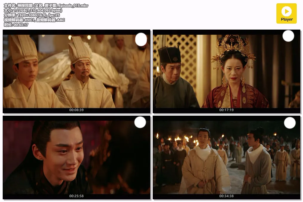 神探同盟 (又名_ 君子盟)_Episode_015.mkv.webp