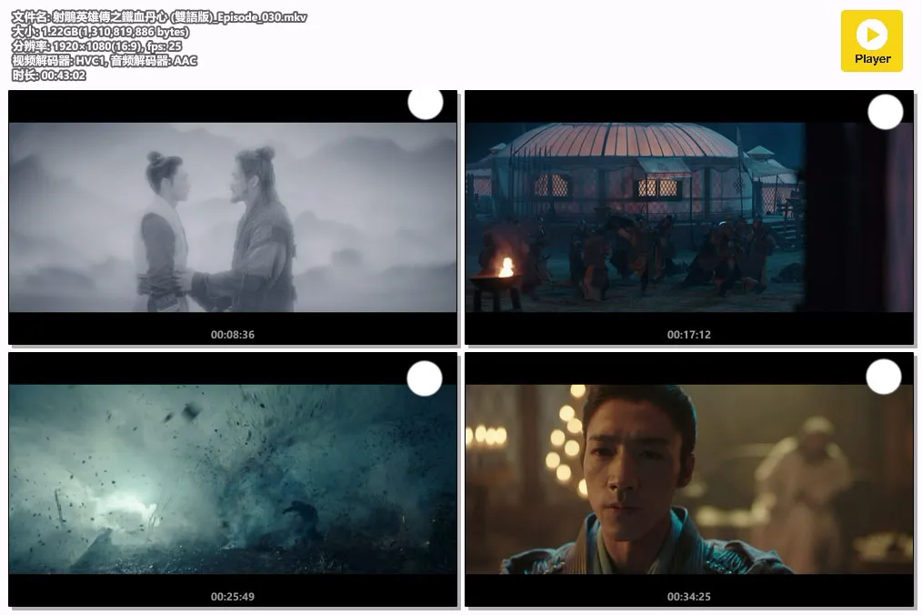 射鵰英雄傳之鐵血丹心 (雙語版)_Episode_030.mkv.webp