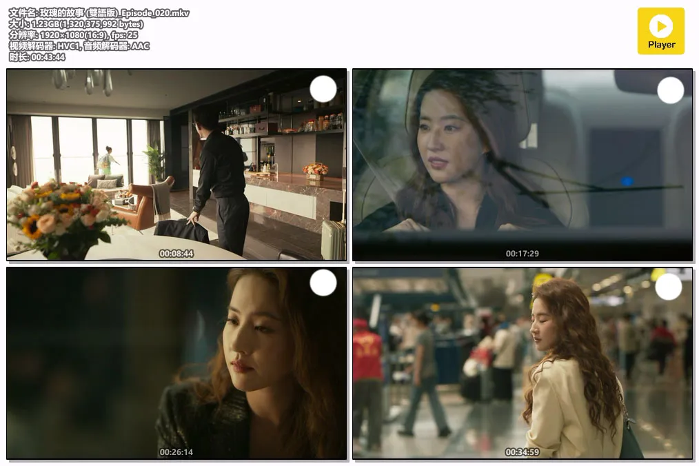 玫瑰的故事 (雙語版)_Episode_020.mkv.webp