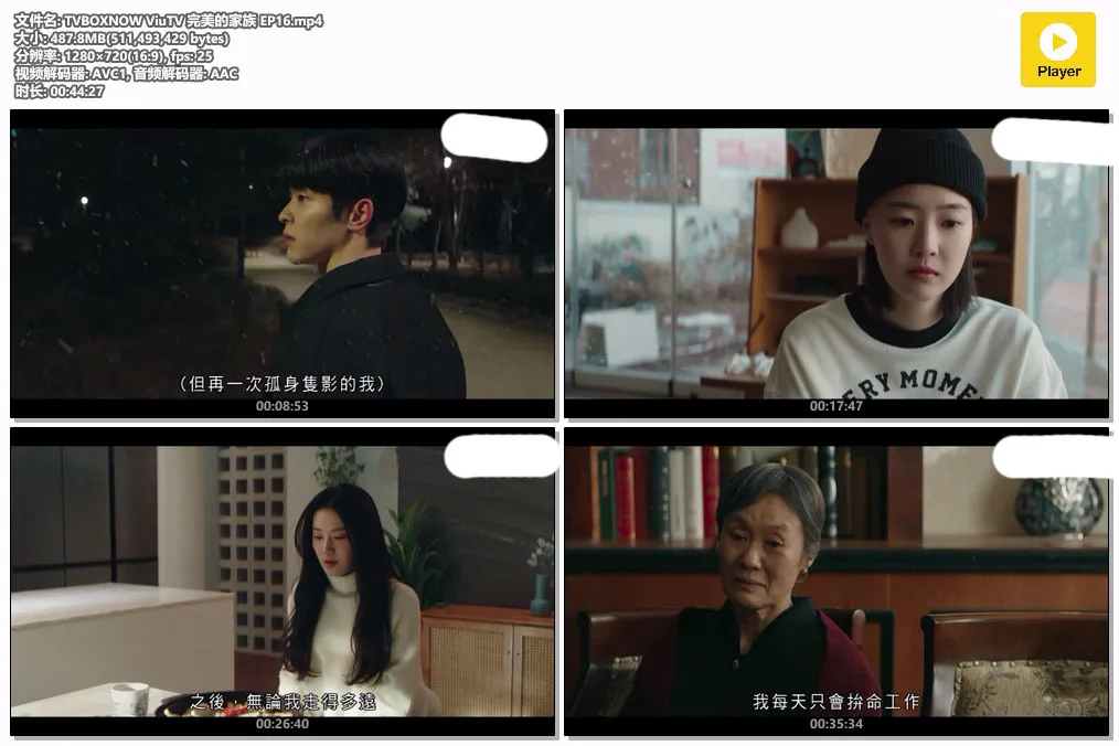 TVBOXNOW ViuTV 完美的家族 EP16.mp4.webp