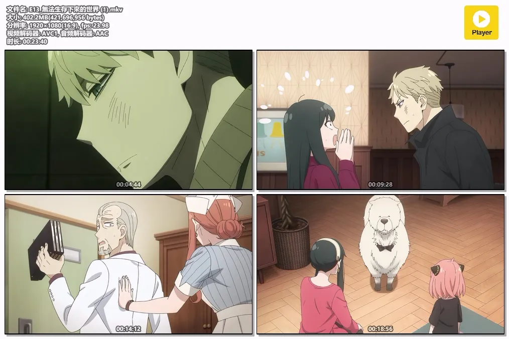 E13_無法生存下來的世界 (1).mkv.webp