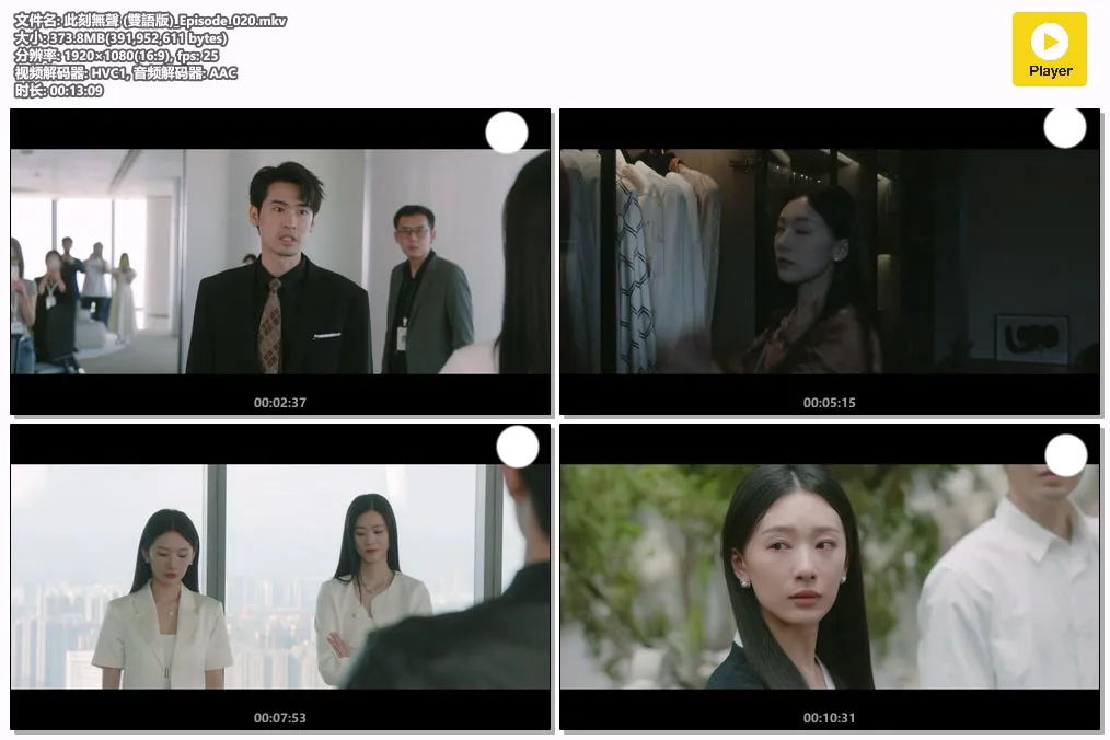 此刻無聲 (雙語版)_Episode_020.mkv.webp