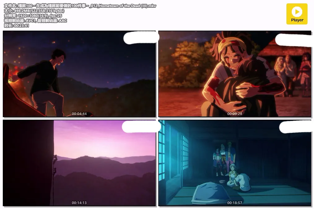 殭屍100～在成為殭屍前要做的100件事～_012_Hometown of the Dead (III).mkv.webp