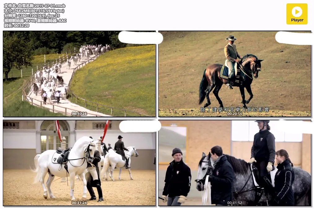 白雪名駒 2015-07-01.rmvb.webp