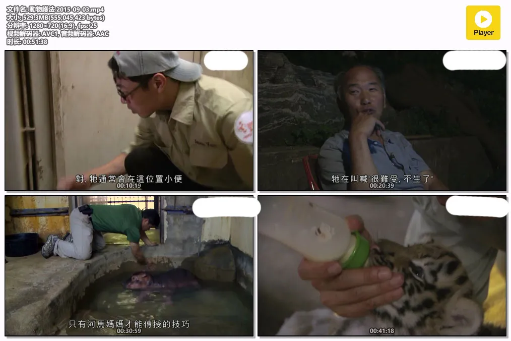 動物護法 2015-09-03.mp4.webp