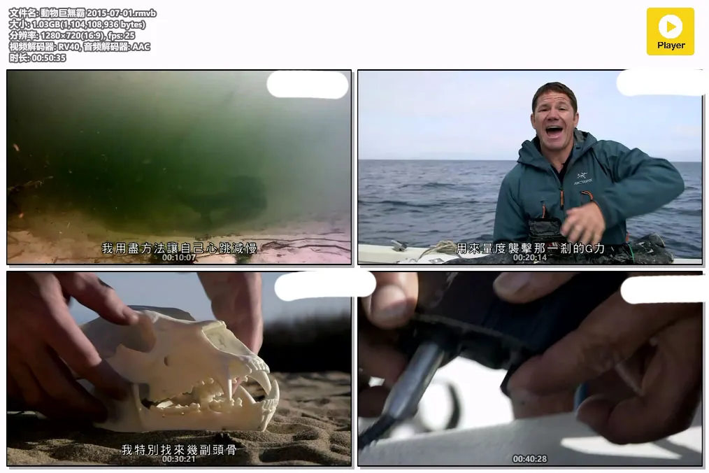 動物巨無霸 2015-07-01.rmvb.webp