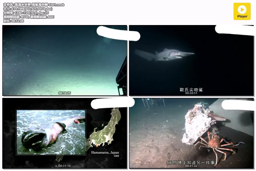 高清水世界_飛鯊海中轉 Ch01.rmvb.webp