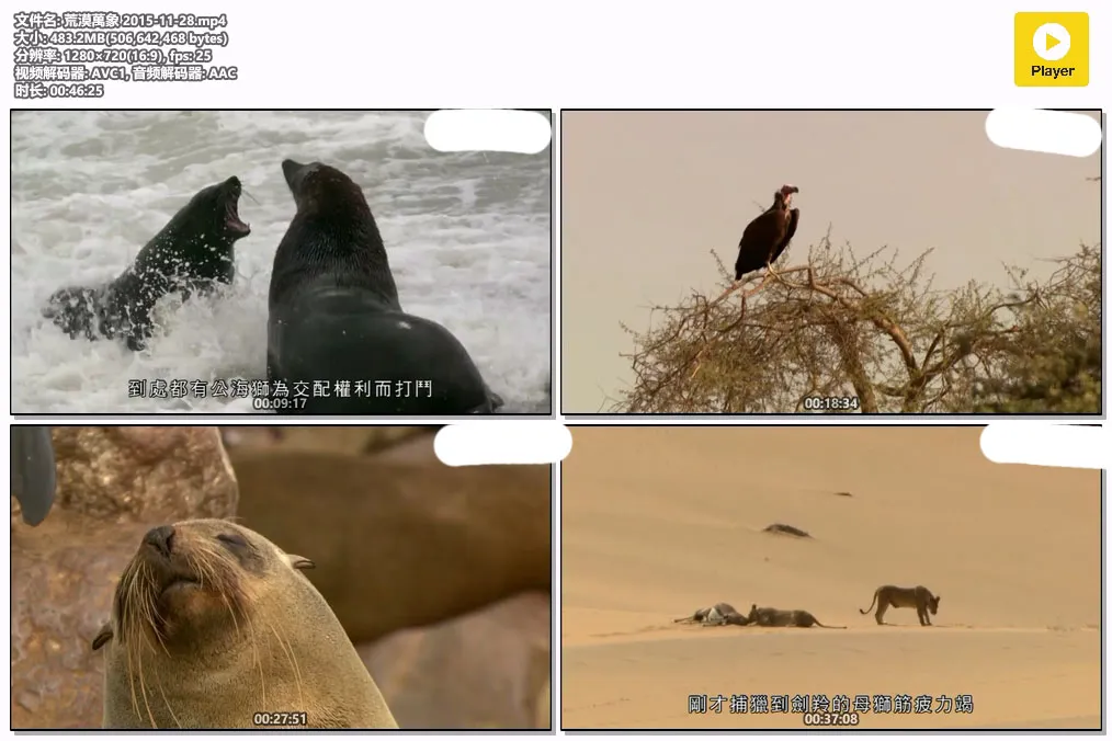 荒漠萬象 2015-11-28.mp4.webp