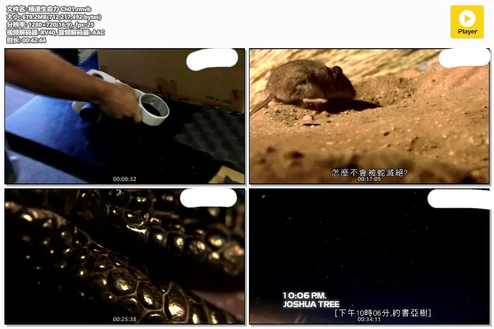 極速生命力 Ch01.rmvb.webp