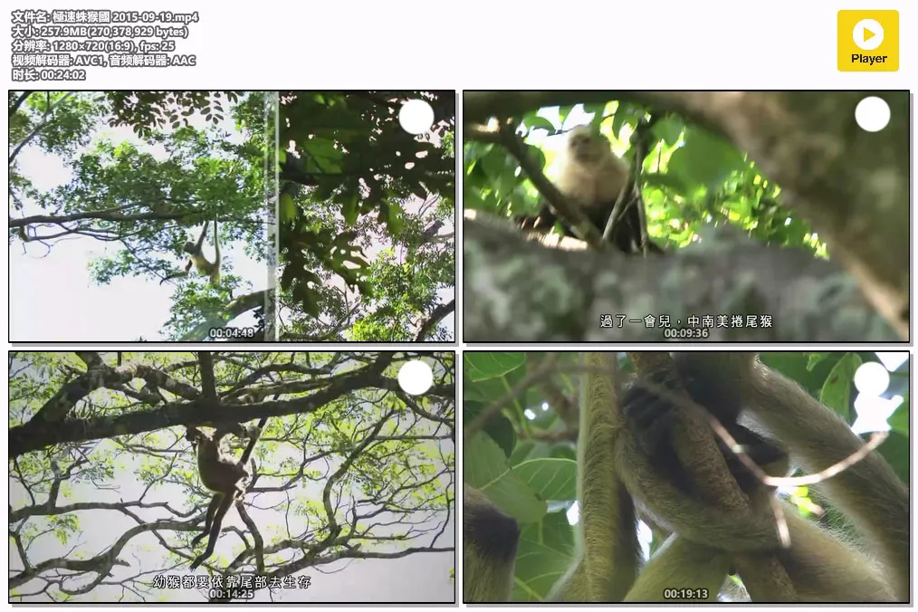 極速蛛猴國 2015-09-19.mp4.webp