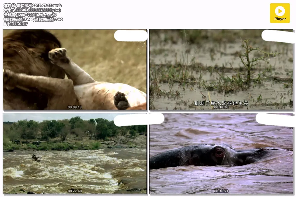 歷劫蠻河 2015-07-11.rmvb.webp